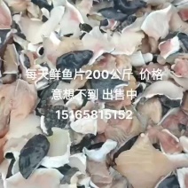 鱼肉饭店食堂餐厅都可以价格便宜
