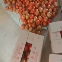 开始陆续供货