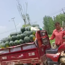 黑美人