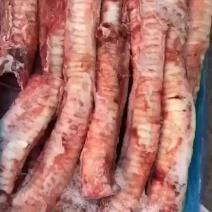 精修牛肺管。