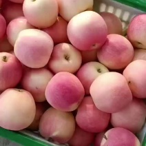 大家好，今天是7月29日，纸袋嘎啦陆续上市，正在装货之_