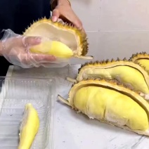 金枕榴莲一级市场直发，价格优势，欢迎各级市场对接探讨