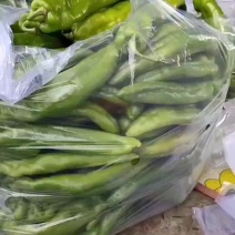 尖椒大量有货，用的联系