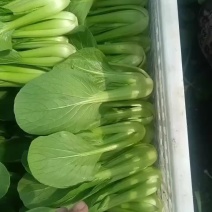 精品大量上市