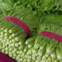 精品油麦菜
