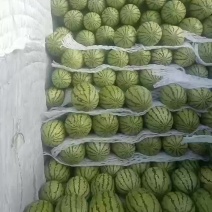 精品，西瓜好货，好货一排排，需要你就来，毛毛钱的毛毛钱