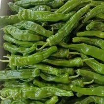 陕西精品芜湖椒，大量供应，支持电商，大小吨位
