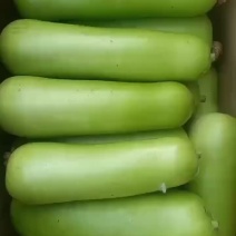 瓠子