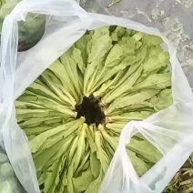 有自提的没