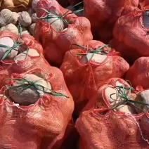 花生南瓜
