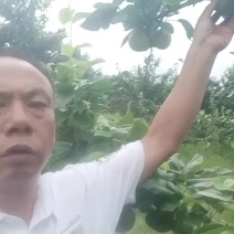 梨