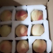 正宗奉化老品种水蜜桃，水份充足，香甜可口