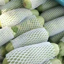大量的西葫芦