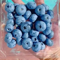 蓝莓