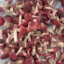 自家烘烤云南普洱大红菇小标菇没有断脚碎片