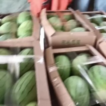 万亩早春红玉大量上市包熟包甜价格便宜全国发货