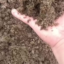 牧原集团脱水猪粪