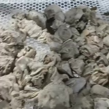 10分熟，五香羊奶扎，适用于羊汤馆，爆炒，有需要的老板可