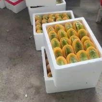 福建香蜜杨桃