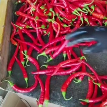 鲜辣椒