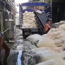 新鲜豆渣