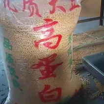 拜泉县大豆