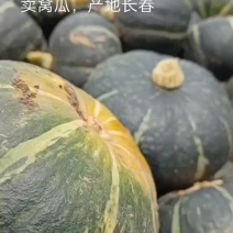 卖窝瓜产地直供