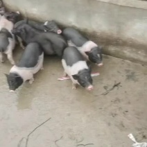 规格齐全