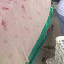 精品油麦菜