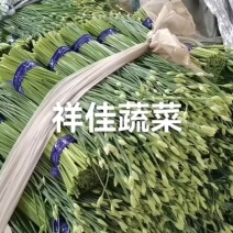 寿光本地韭苔
