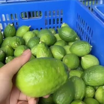 大量二级27号可以发货