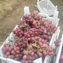 红堤