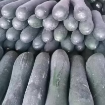 黑皮吊冬瓜