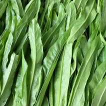 精品油麦