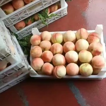千亩桃园基地永连蜜桃大量上市中有需要联系我
