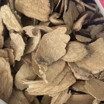 丁公藤包公藤麻辣子