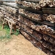 竹片竹条楠竹毛竹板温室龙骨大棚竹篱笆蔬菜架农用搭架竹栅栏竹坯