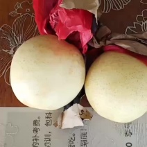 精品黄冠梨