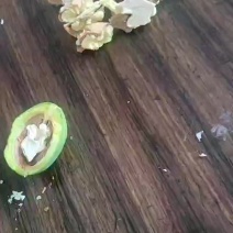 青皮核桃杂果