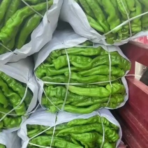 精品辣子大量供应，电商市场都可走货，