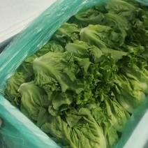 精品意大利