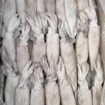 鱿鱼，笔管，品质保证，价格便宜，货源充足，欢迎咨询