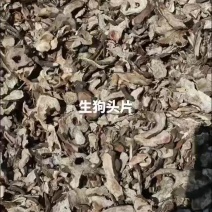 疙瘩头片