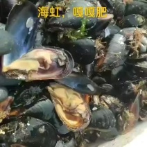 海虹