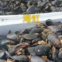 海虹