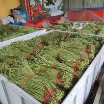 豆角
