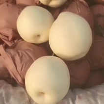 水晶梨好看又好吃