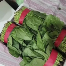 精品菠菜