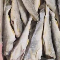 黄金鳕鱼，三去，价格便宜，品质保证，价格便宜，货源充足