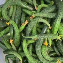 黄瓜扭，小黄瓜扭，鲜黄瓜扭